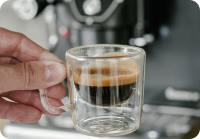 Roots in Portugal, Brewing for America